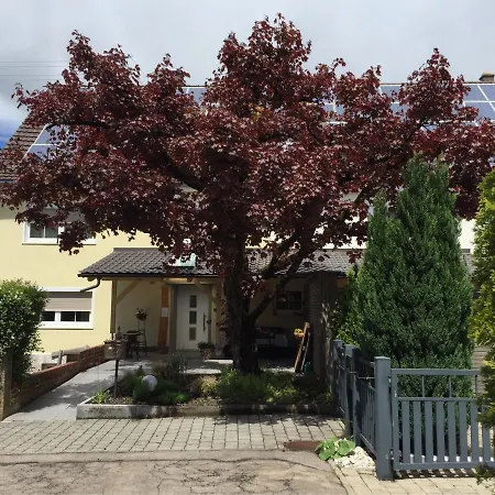 Apartmentvermietung Ingrid Bolkart - Voehlino 2 Illertissen