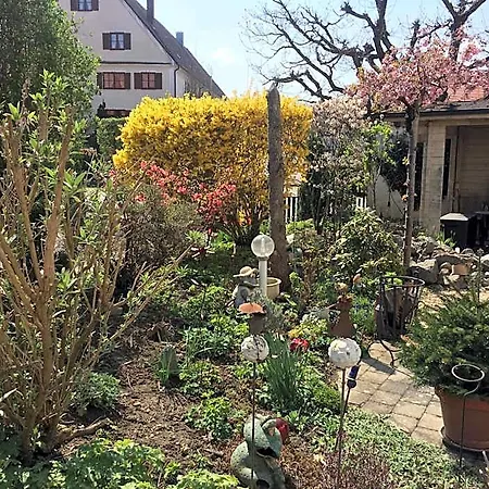 Apartmentvermietung Ingrid Bolkart - Voehlino 2 3*